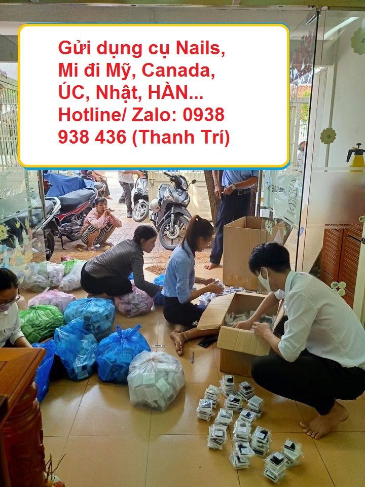 Gửi mi giả đi Mỹ 