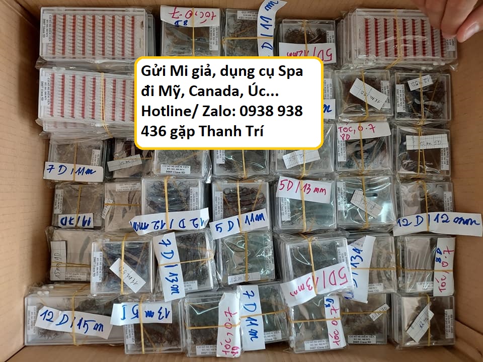 Gửi mi giả đi Mỹ