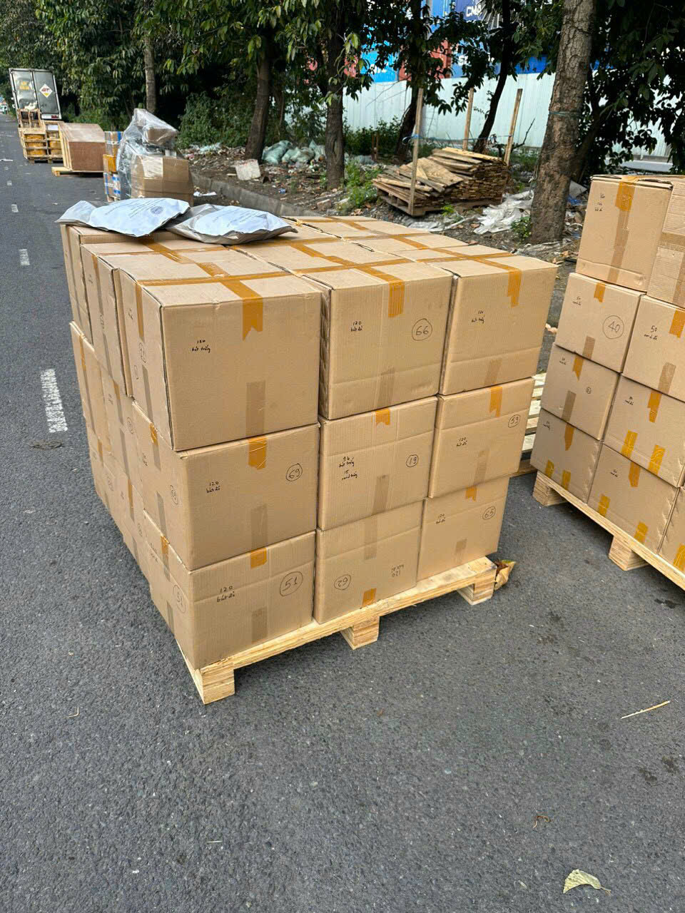 Gửi Hàng Đi Ai Cập Bằng Đường Biển